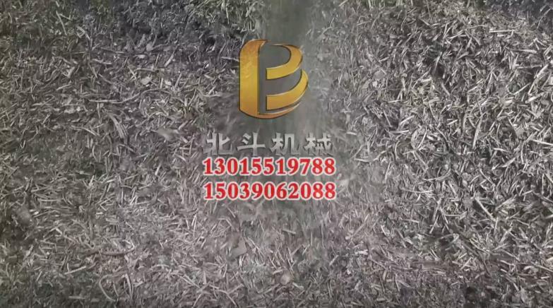 藥渣红豆视频app下载高效環保具有廣泛的應用前景